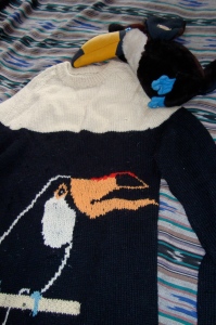 Jumper with Toucan